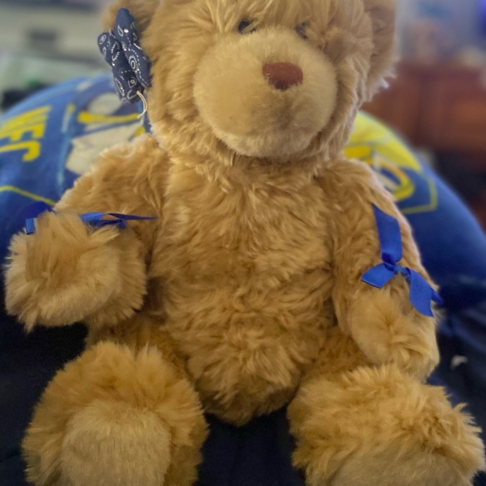 Like New! Build-A-Bear - Picture 3 of 5